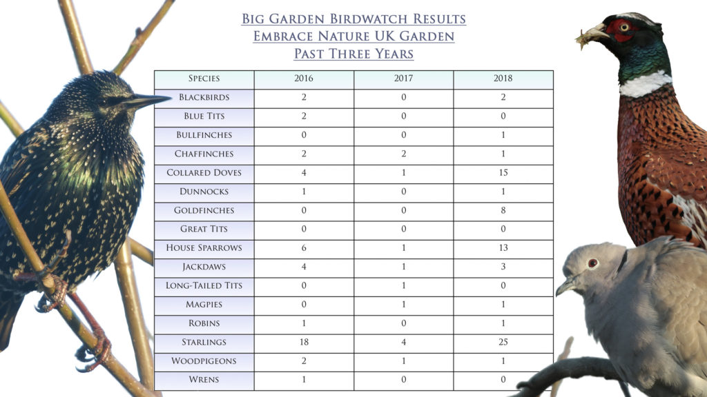 Big Garden Birdwatch ENUK Results