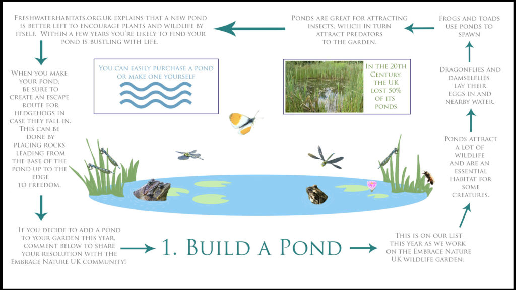 Build a Pond in 2019