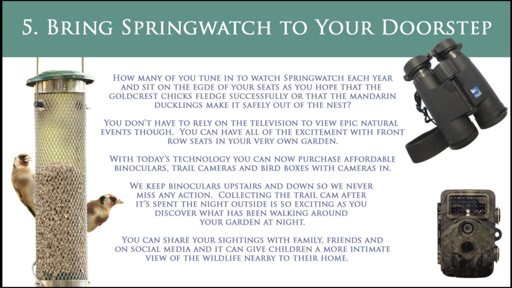 Bring Springwatch to Your Doorstep in 2019