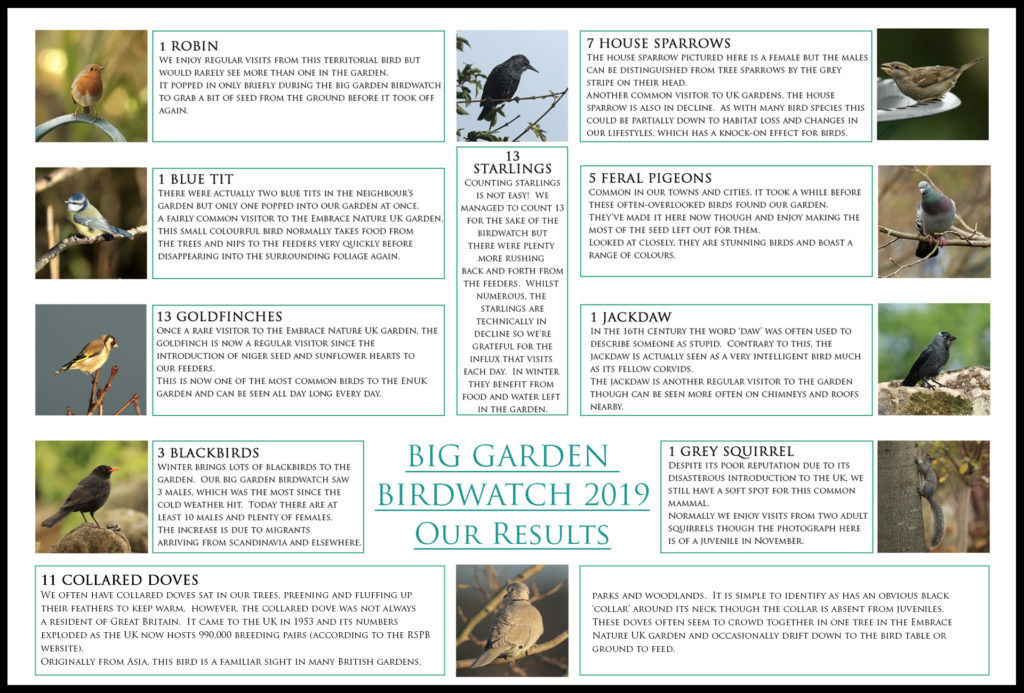 Our Big Garden Birdwatch Results 2019