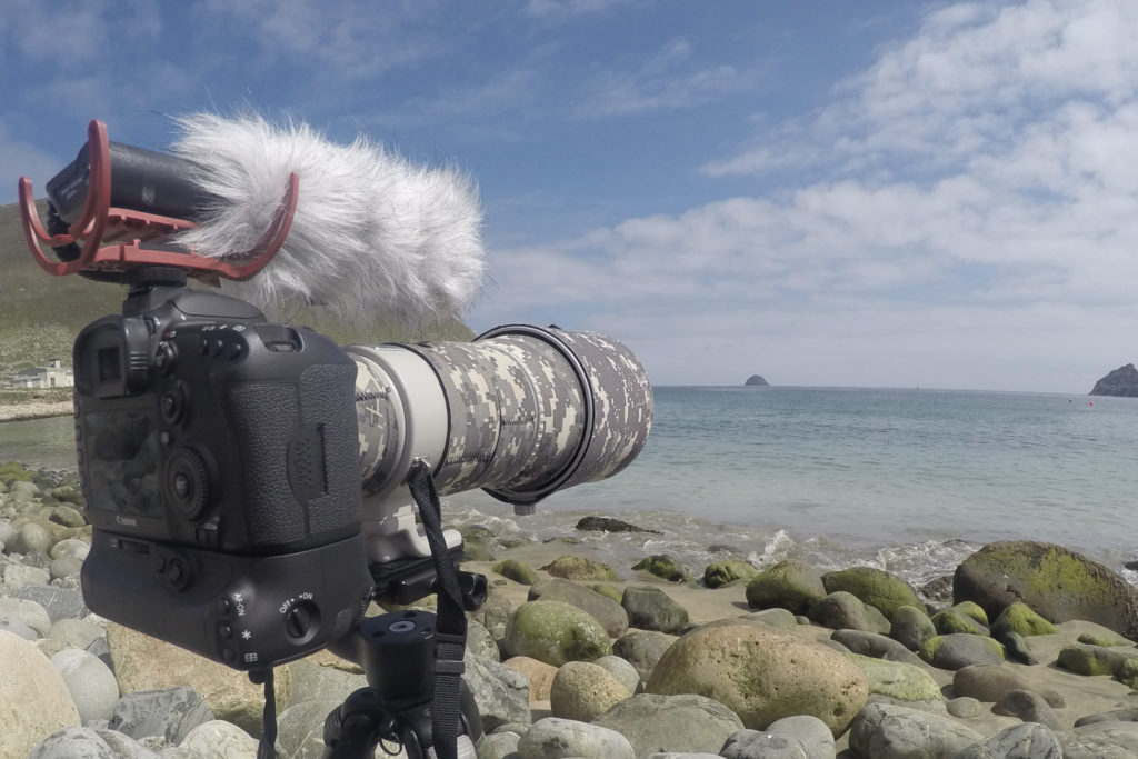 Investing in a good tripod and microphone can help to improve your photography and filmmaking with your DSLR