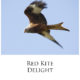 Red Kite Delight