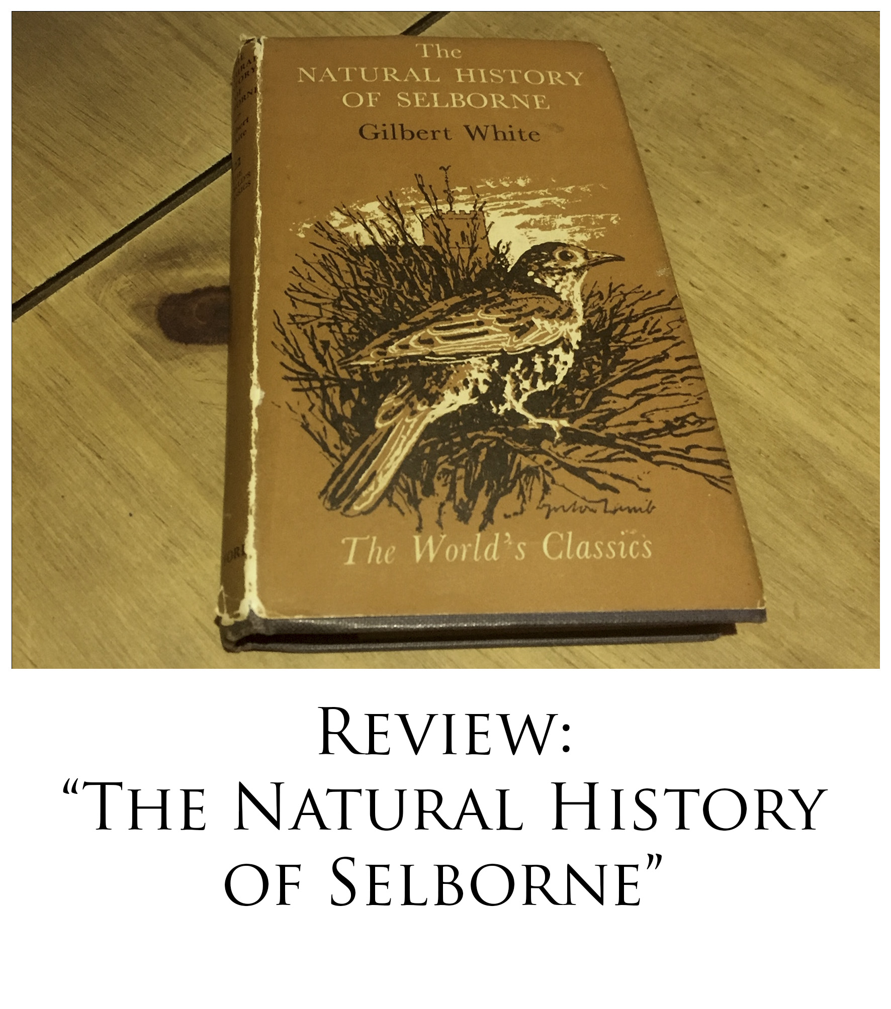 Gilbert White's "The Natural History Of Selborne" | Embrace Nature UK