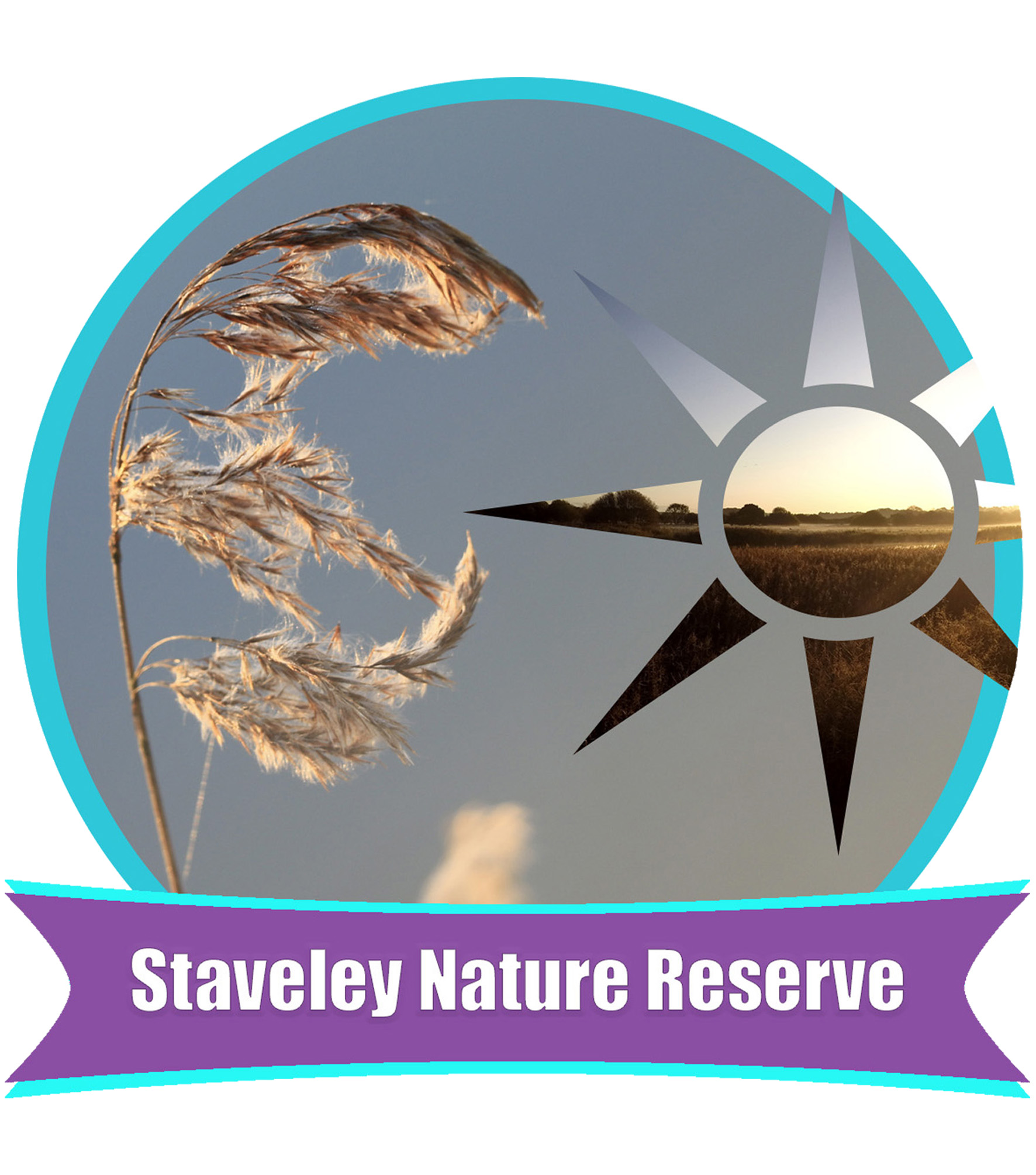 Staveley Nature Reserve, North Yorkshire | Embrace Nature UK